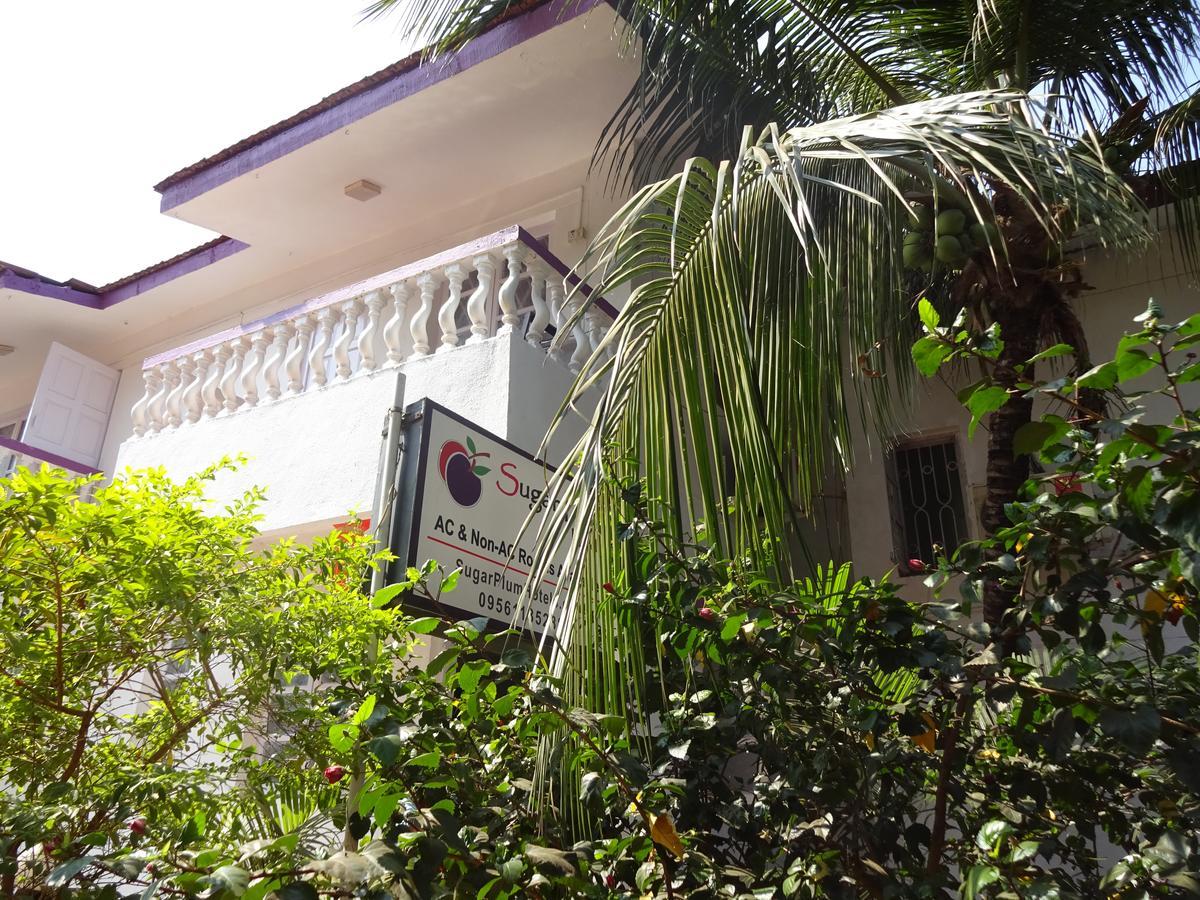 Bed and Breakfast Sugar Plum Macedo Palms Baga Esterno foto