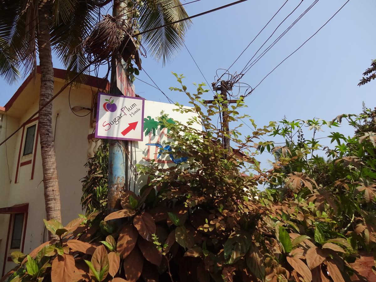 Bed and Breakfast Sugar Plum Macedo Palms Baga Esterno foto